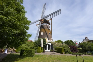 Makelaar in de wijk Bavel